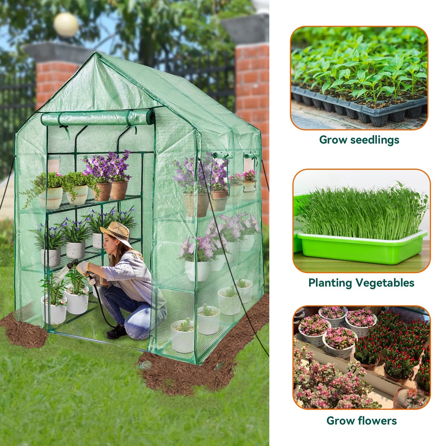 Walk in Greenhouse with Shelves,Plastic Growhouse Frame for Garden,12 Tiers Green House with Reinforced PE Cover and 4 Windows,56" L x 56" W x 77" H,for Indoor Outdoor Seeding and Plant Growing