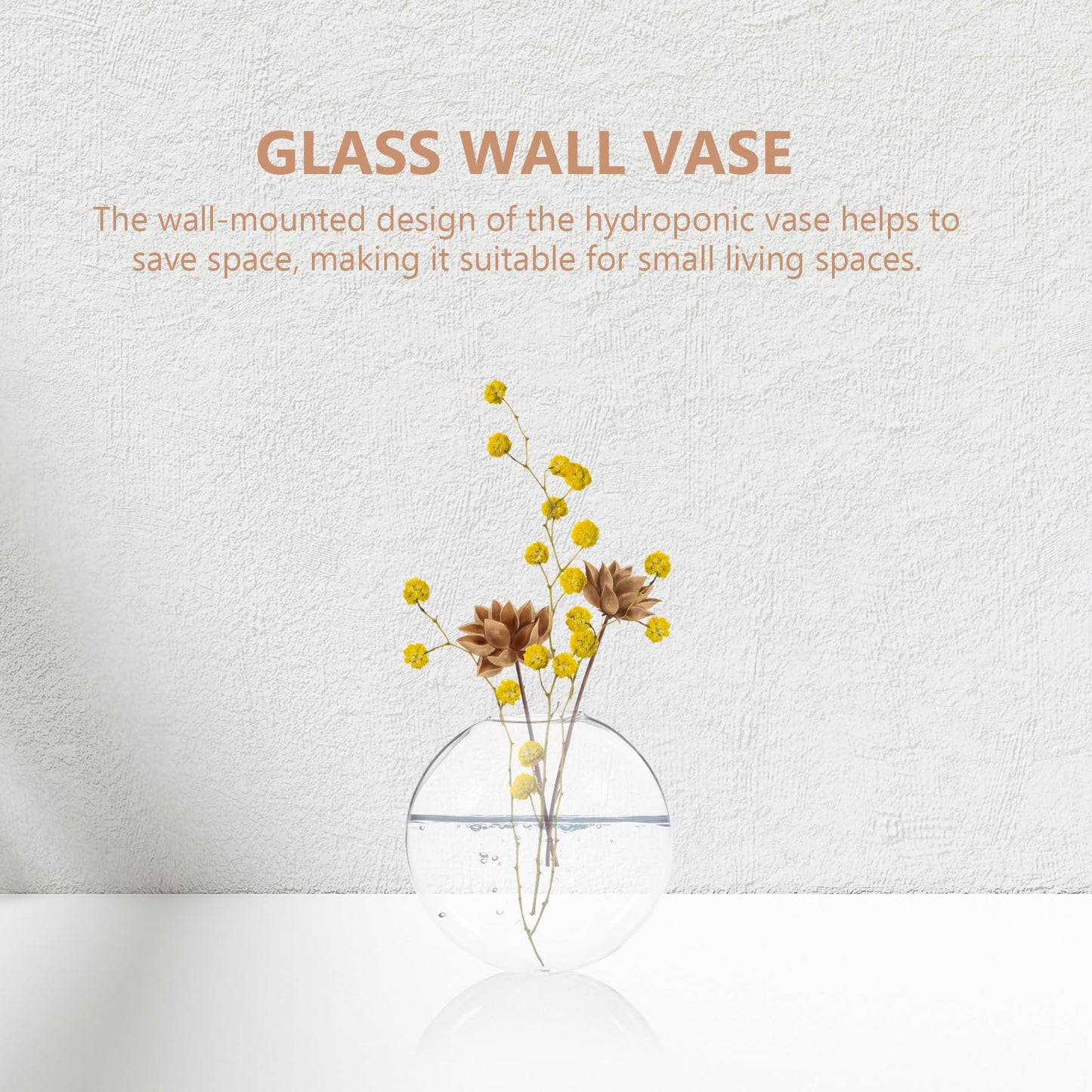 TOVINANNA Wall Mounted Glass Vase Set of 2, Hydroponic Planter for Indoor Plants, Hanging Terrarium Container for Home and Office Décor