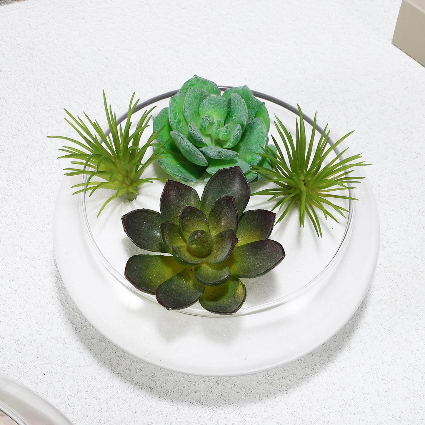 BESPORTBLE Glass Fish Bowl Vase - 2pcs Clear Shallow Bowl Planter Round Terrarium Hydroponic Planter Flower VAE for Plants Succulent Air Plant Candy Bowl, 15.00X15.00X6.00CM