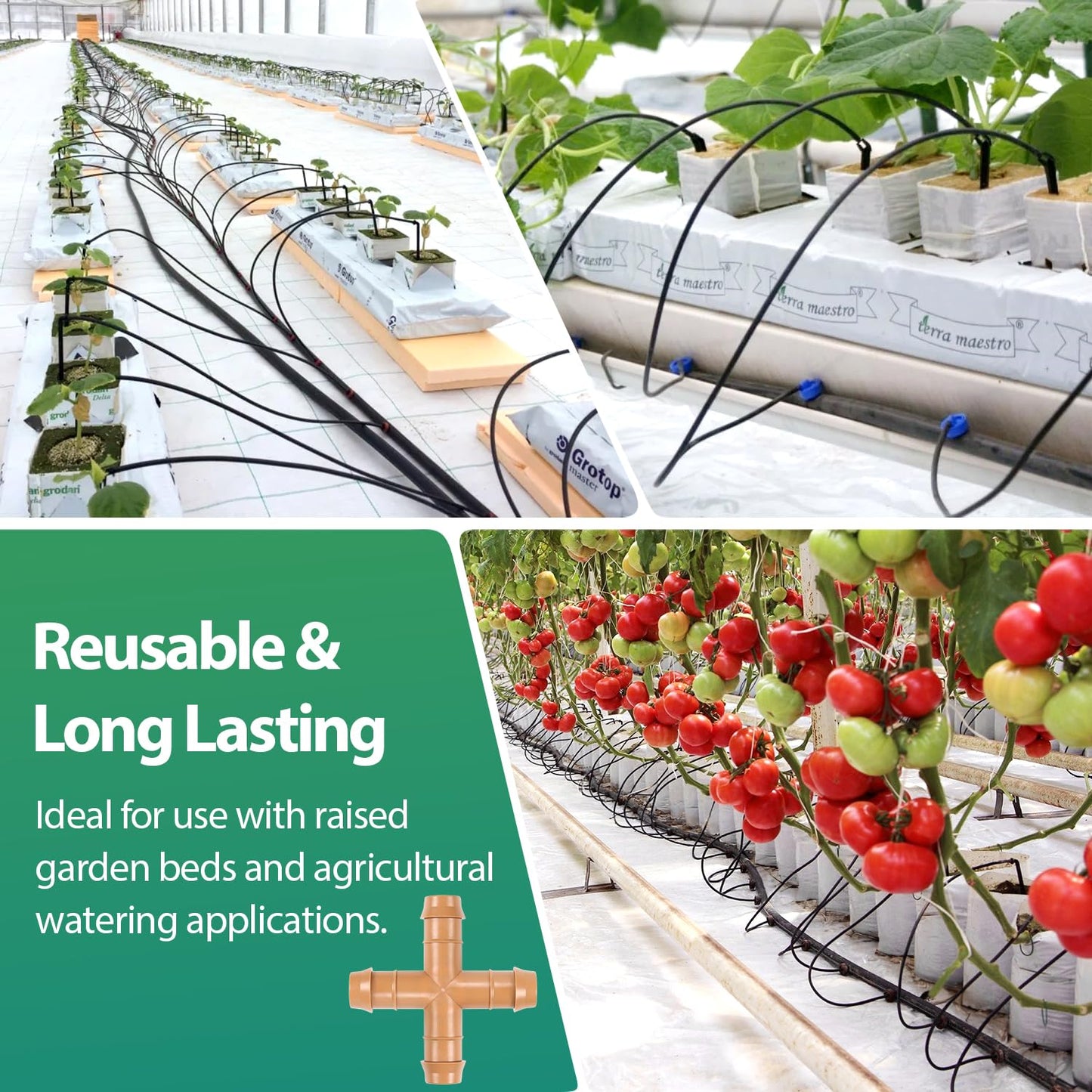 RedChili 12 Pcs 1/2 Inch Irrigation Tubing Cross Tee Fittings, 1/2" Drip Irrigation Barbed 4 Way Tee Connectors Fits 5/8", 1/2", .700" Drip Tubing for Garden Lawn Irrigation System