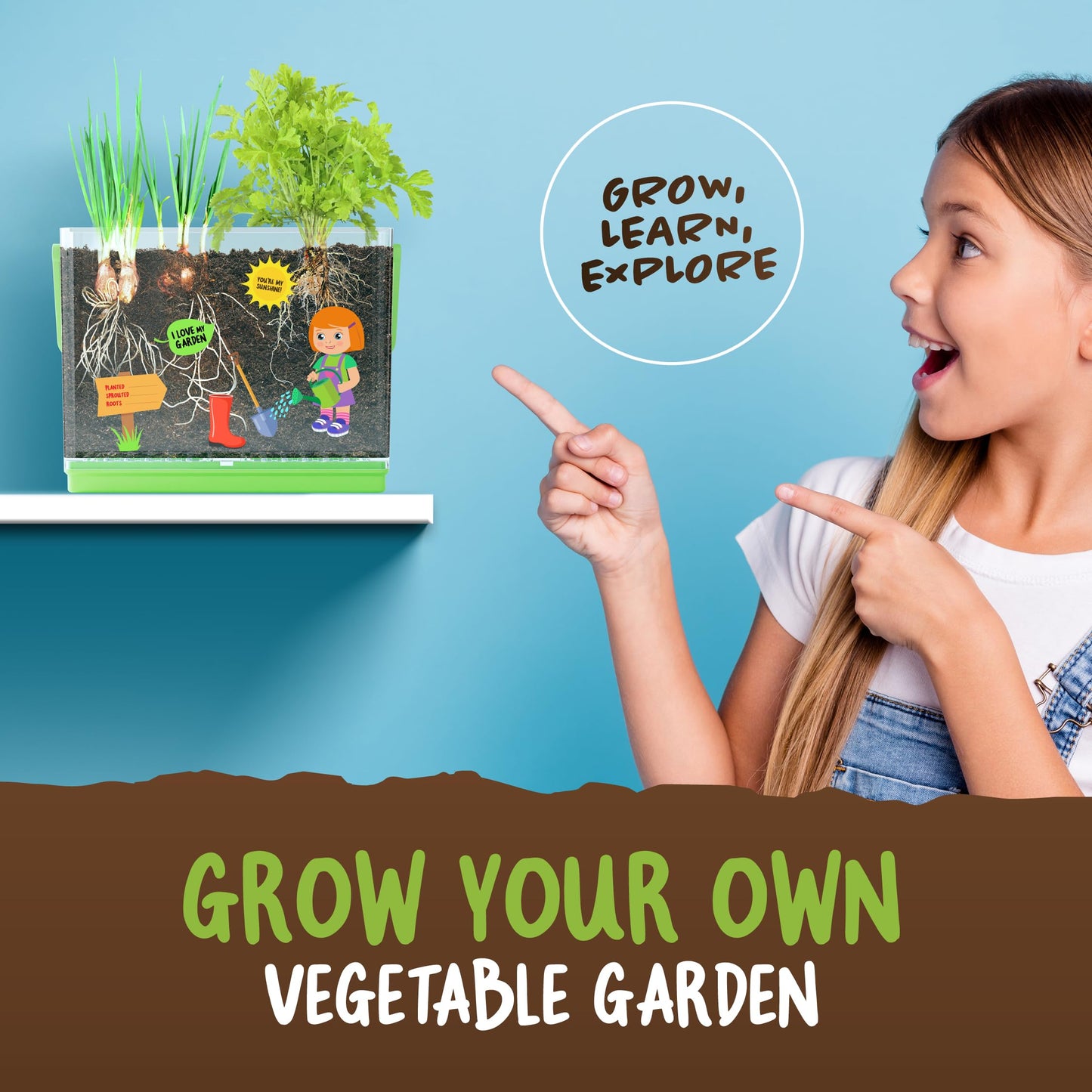 Dan&Darci Root Viewer Kit for Kids - Grow Your Own Plant for Boys & Girls Gifts - Science STEM Toy & Craft Growing Kits for Ages 4-8 Birthday Gifts for Boy, Girl 4, 5, 6, 7, 8, Year Old - Gardening