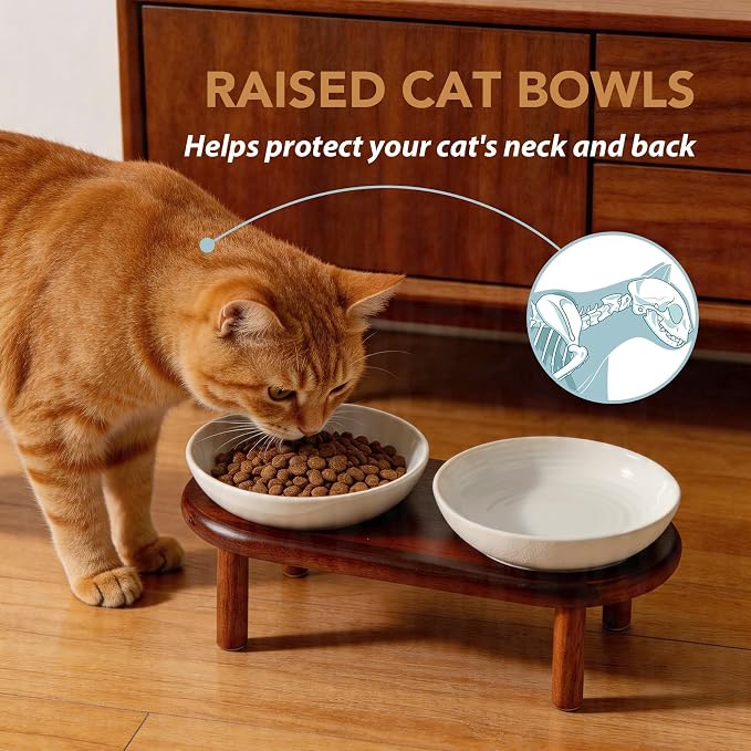 Havniva Elevated Cat Bowls Raised Ceramic Cat Bowl, 5.7” Wide Opening Cat Food Bowl Whisker Friendly Cat Dish Anti-Slip with Wood Stand, Shallow Pet Food & Water Bowl for Indoor Cats