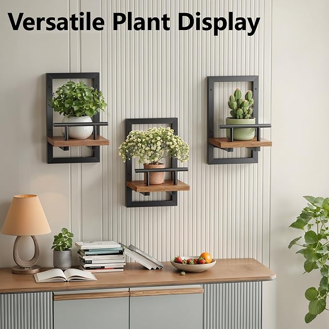 Sbosbo Floating Shelves for Wall, Plant Shelf Indoor, Wall Planters for Indoor