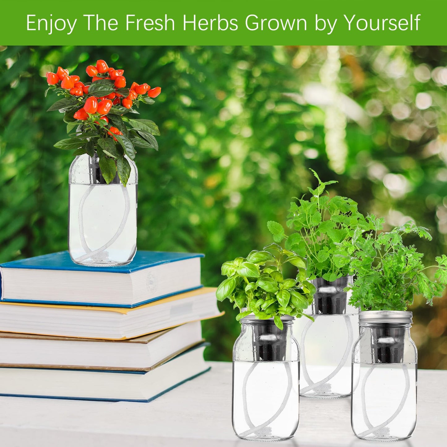 Teenyyou 6 Set Hydroponic Mason Garden Jar Kit Self Watering Herb Hydroponic Planter Starter Kit with Net Pot Garden Flower Plant Growing Gift for Indoor Herbs Windowsill Gardening