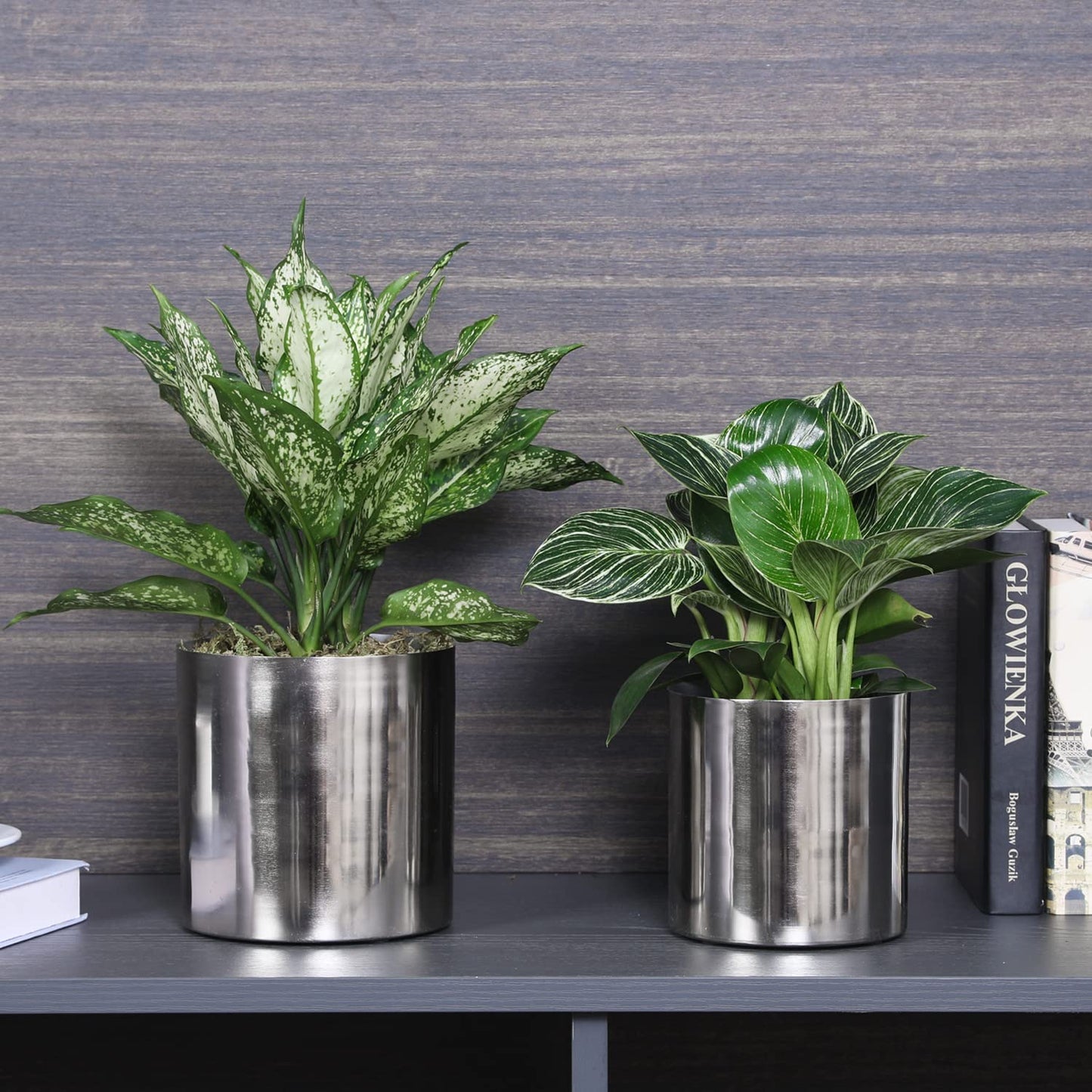 MyGift 5.2 and 6 Inch Round Handmade Shiny Silver Tone Metal Plant Pot Covers, Decorative Indoor Tabletop Houseplant Planter Containers, 2 Piece Set - Handcrafted in India