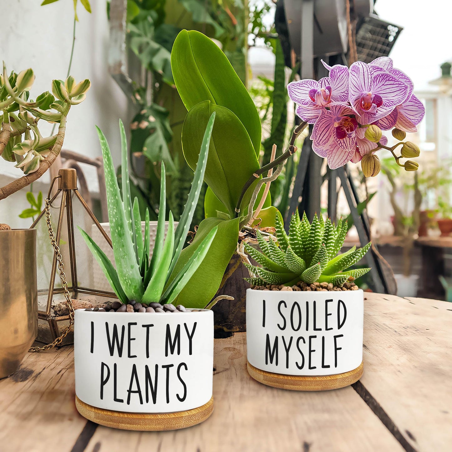 2 Pack I Wet My Plants - Funny Ceramic Planter Pot with Drainage, Cactus Pot, Cute Succulent Pots,Aloe Vera Plant Pot,Funny Plant Gifts for Women, Friends, Coworker
