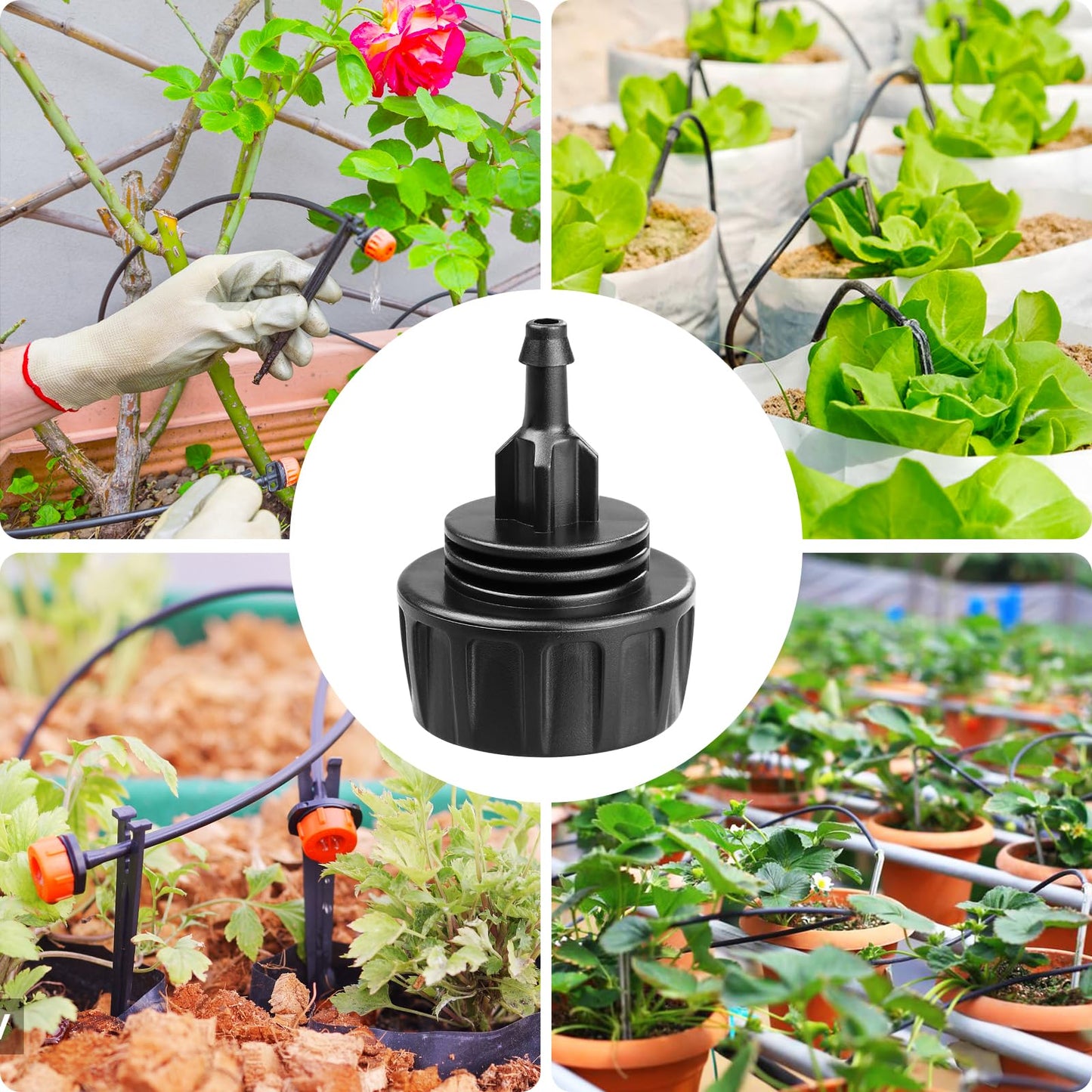 Gardrip 3/4 Inch Female Pipe Thread to 1/4 Inch Drip Irrigation Tubing Adapter: 6 Pieces 1/4 In. Barbed Drip Line x 3/4 In. Faucet PVC Adapter Connect 3/4" FHT Faucet