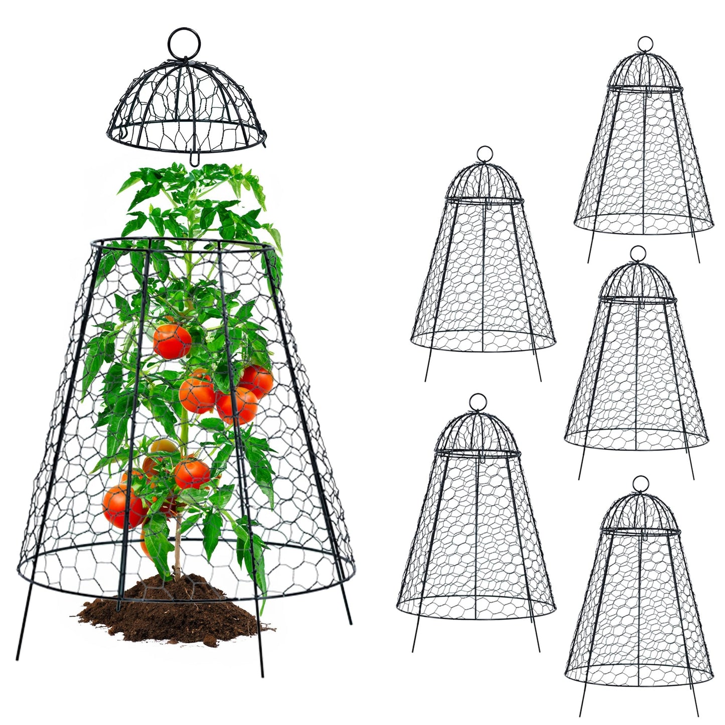 Life Finds Chicken Wire Garden Cloche Set, Protective Plant Cover for Flowers and Produce with Removable Top, Protection from Animals, Pack of 6, LF-GC6P