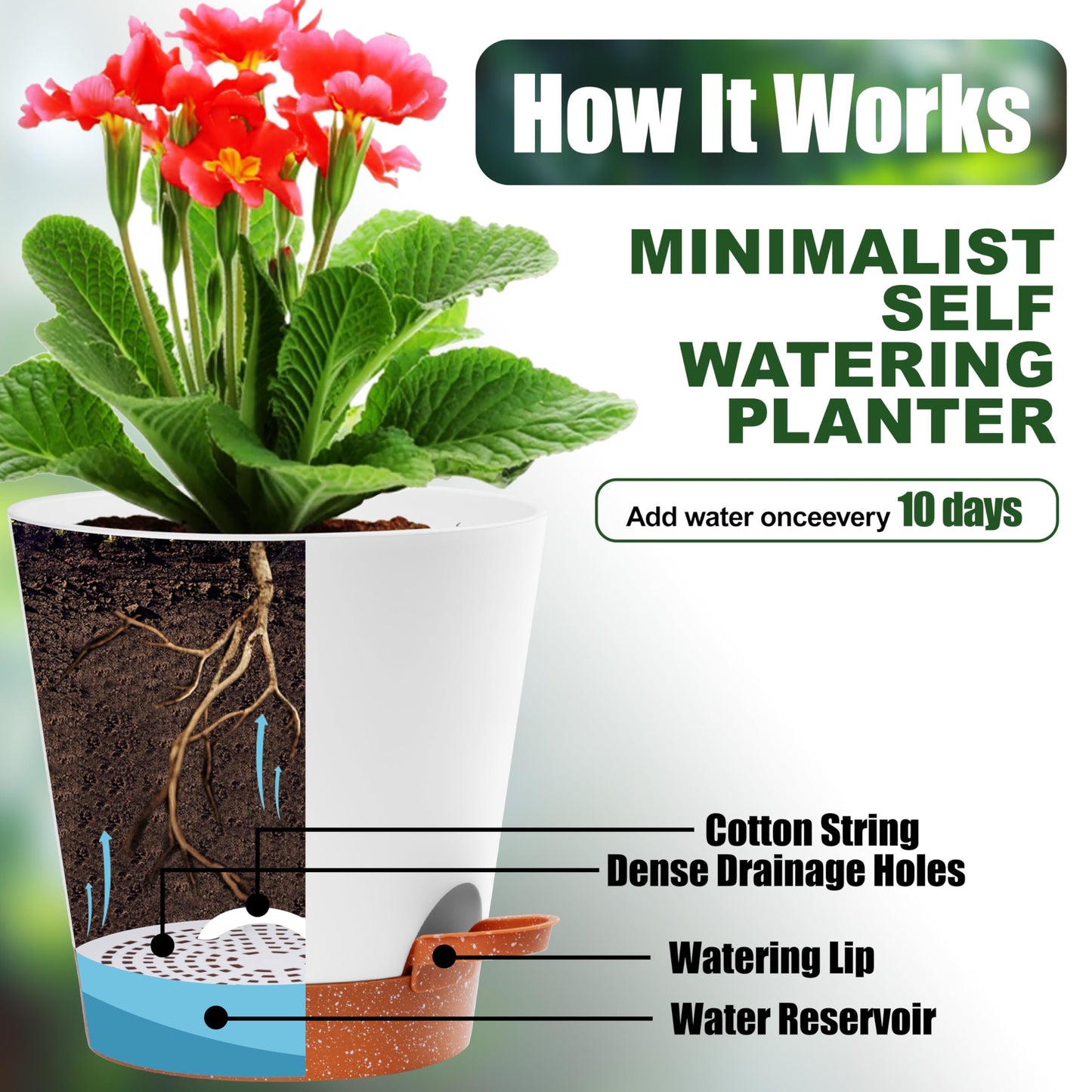 Self-Watering Plant Pots Set of 5 - 7", 6.5", 6.02", 5.55", 5.08" Draining Pots for Indoor and Outdoor plants with Drainage Holes, Soil Moisture Indicator & Saucer Reservoir - Modern White Design