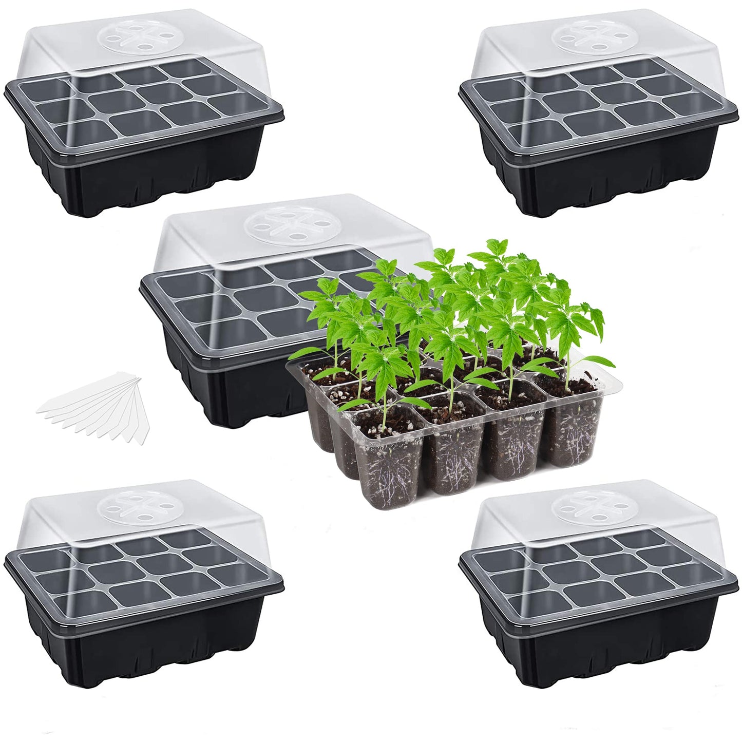 The Bundle of Bonviee 5 Packs Seed Starter Tray and Bonviee 36 Packs Variety Sizes Clear Nursery Pots with Drainage Holes