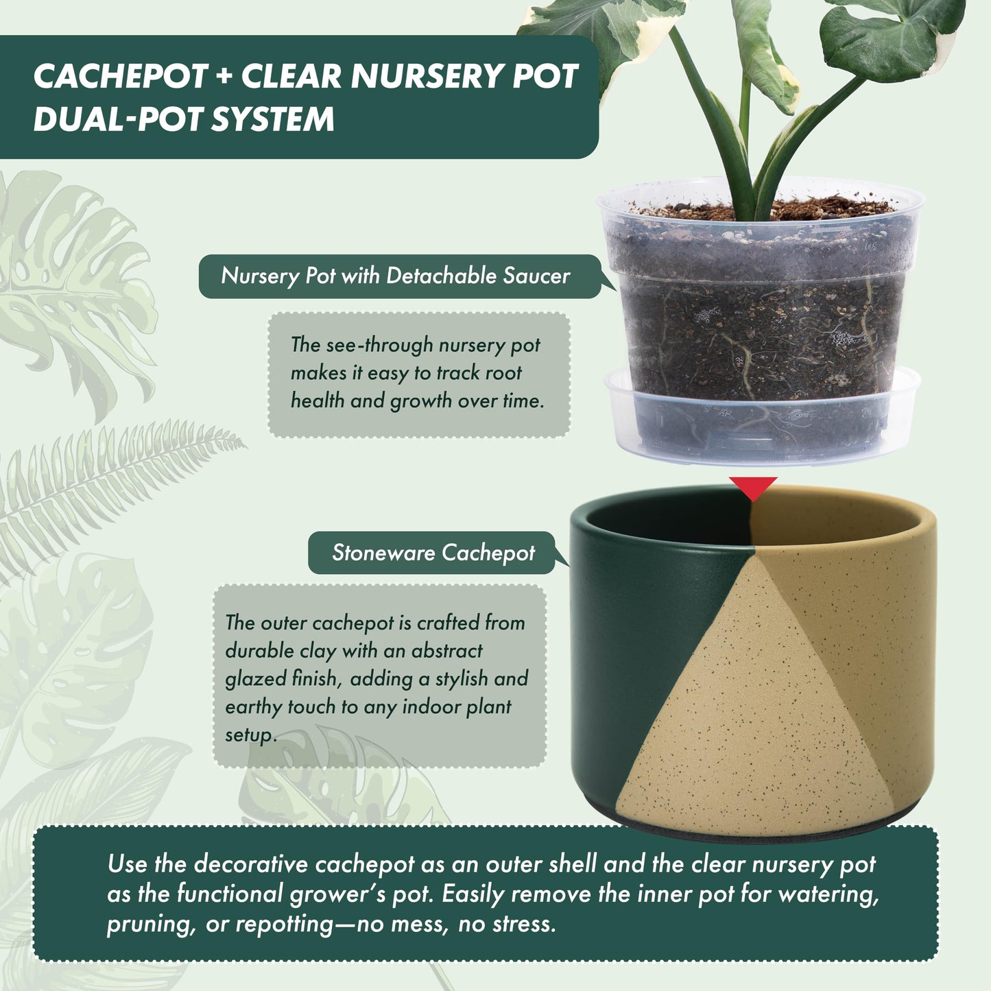 D'vine Dev 6.5" Stoneware Cachepot Planter with 6" Low Clear Nursery Pot & Detachable Saucer – Modern Indoor Plant Pot with Drainage for Bottom Watering & Root Visibility, Desert Forest, 93-O-D-1