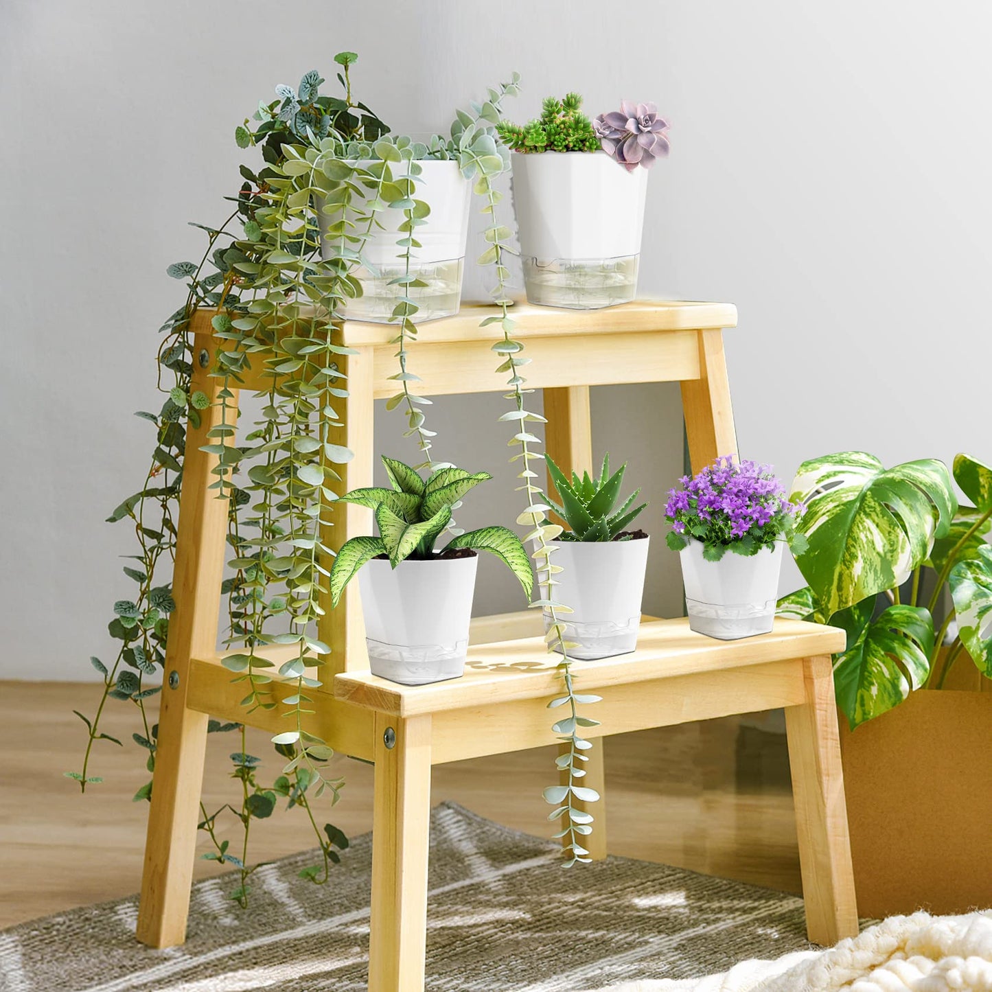 GearRoot 6 Pack Self Watering Planters Pot, 6.6/5 inch Plant and Flower Pot, Decorative Self Watering Pots for Indoor Plants African Violet Wicking Pots, Succulents, Aloe, Herbs