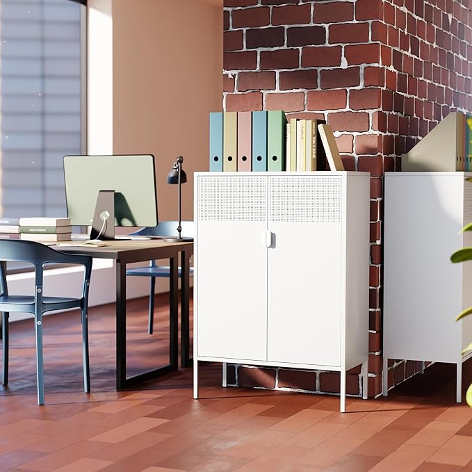 Washsemba 2 Mesh Door Metal Storage Cabinet