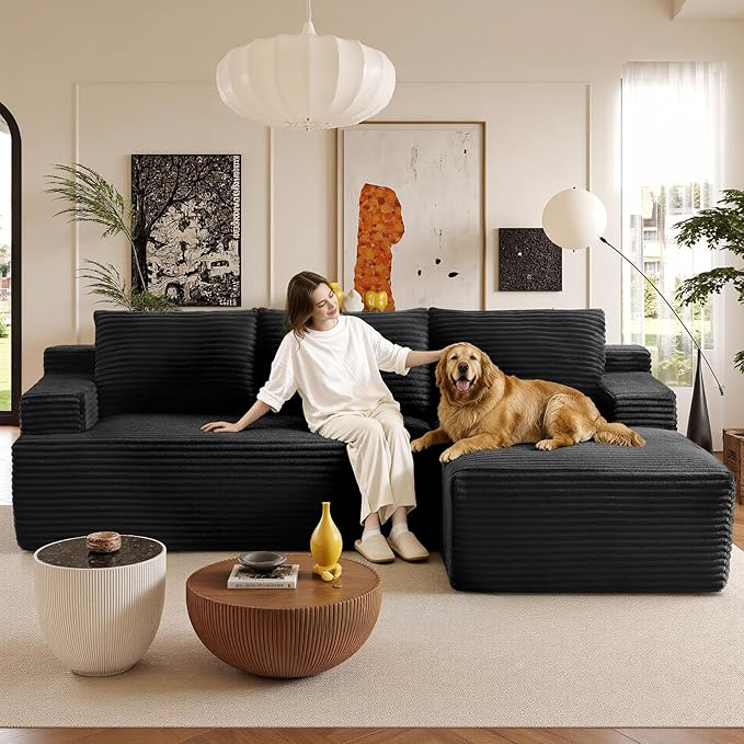 Sectional Couches for Living Room Cloud Couch Sofa