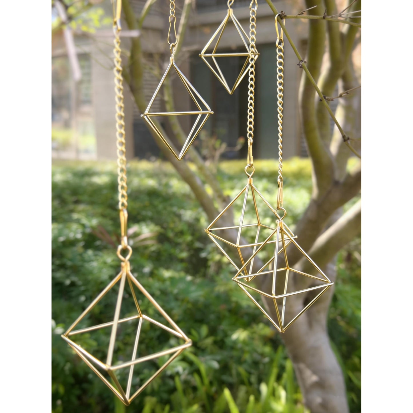 libproqia Gold Air Plant Holders with Chains, Set of 6 Geometric Hanging Planters with Removable Links for Wall Decor, Indoor Home Ceiling Display for Tillandsia, Ferns