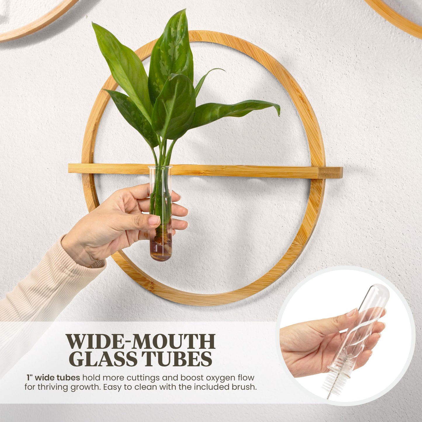 Bohemian Roots Plant Propagation Stations - Set of 3 Bamboo Wall Planters for Indoor Plants with 5 Glass Plant Propagation Tubes | Propagation Vases for Plants | Aesthetic Plant Wall Decor