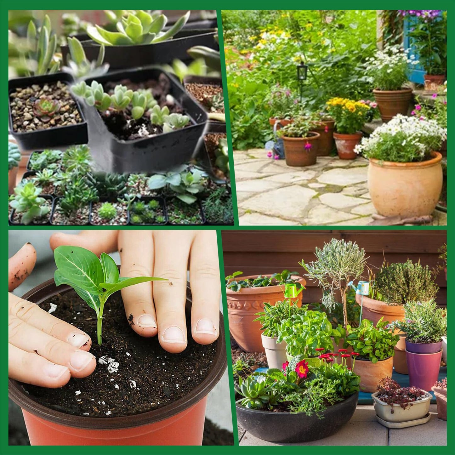 YSMN 8 Inch Nursery Pots 100pcs Plastic Bowl for Seed Starting Succulent Flower Planting Multipurpose Plant Container