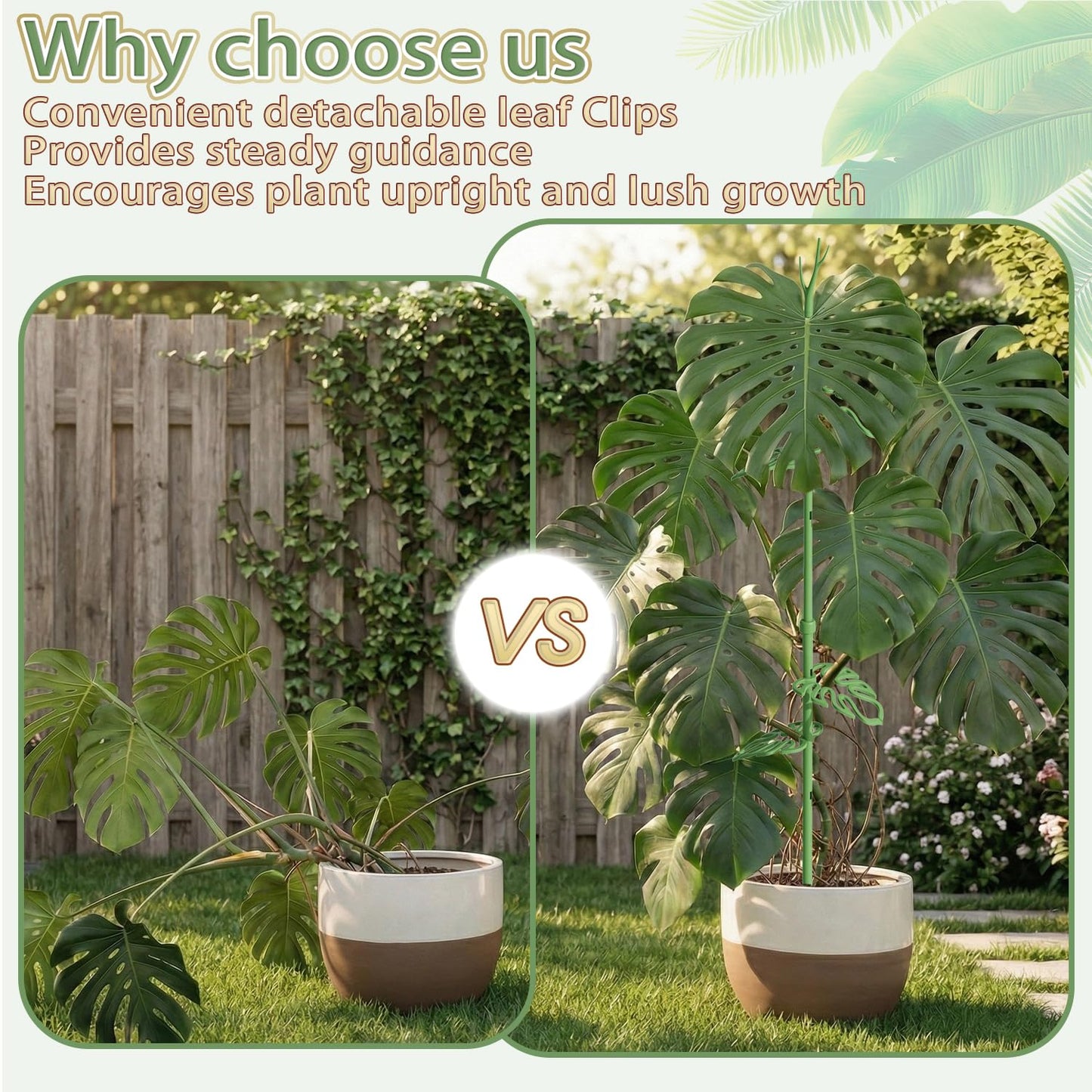 Telescoping Plant Stakes, Detachable Leaf Clips, Monstera Plant Support Stick Adjustable from 21In to 43.3In, Plant Support Stakes Ideal for Indoor, Garden and Climbing Plant, Vegetables - 2 Pack