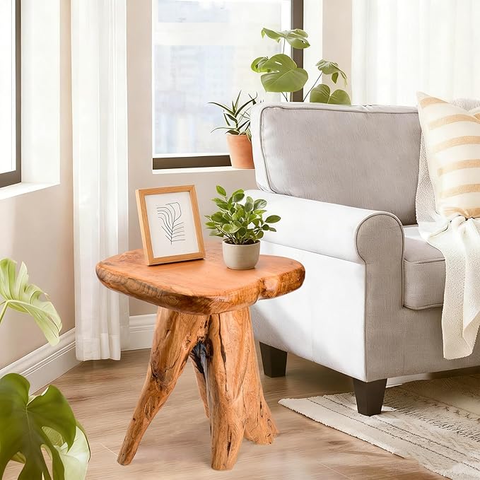18.9 inch Live Edge Wood Stool, Live Edge Wood Stool, Freeform Mushroom Side