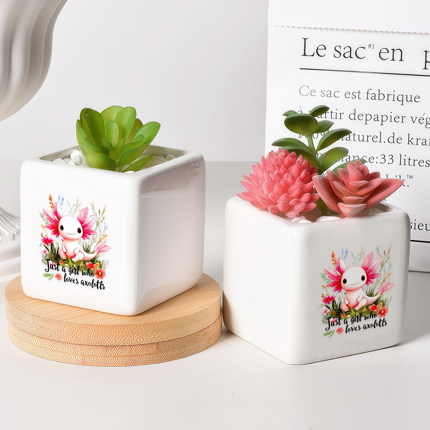 BJDAMAI Axolotl Succulent Planter Flower Plant Pot Small, Gifts for Women Teens Girls Kids, Axolotl Lovers Themed Stuff Accessories Things Decor Merch, Home Office Table Desk Decoration!