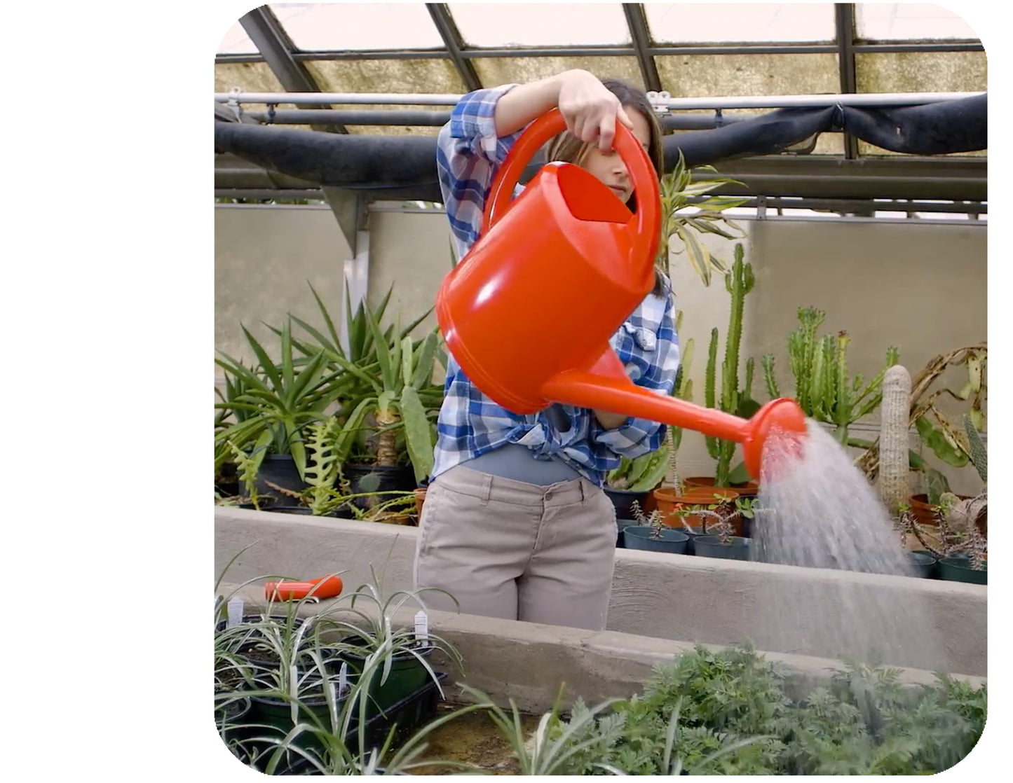 Consolidated Plastics Durable Swiss Watering Can with UV Protection, Ergonomic Handle for Indoor/Outdoor Gardening, Made in Switzerland (7 Liter, Red)