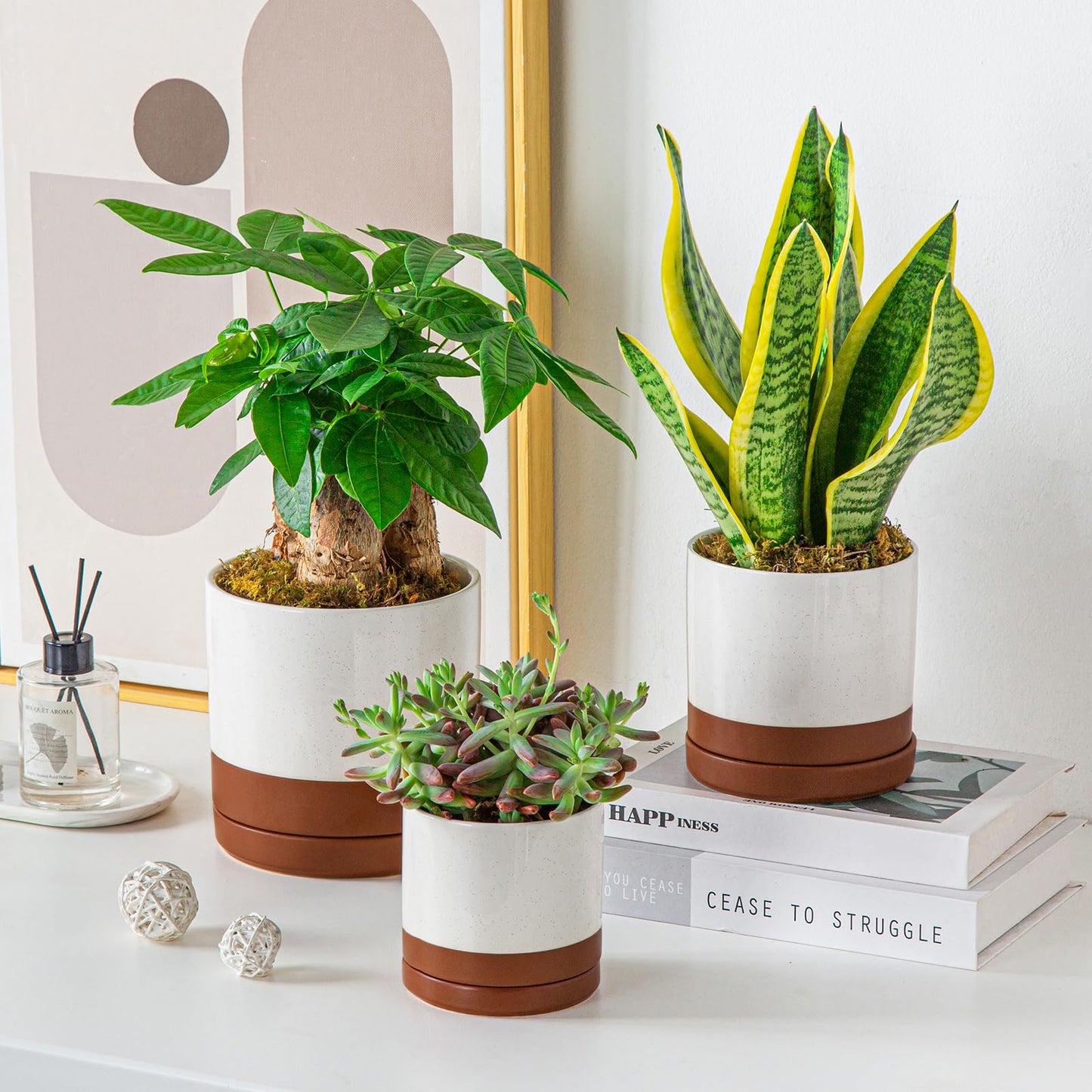 vancasso Ceramic Plant Pots, 3 Piece Planters for Indoor Plants, 4.25+5.25+6.25 Inch Flower Pots with Drainage, Plant Pots Indoor for Succulent, Pothos, Snake Plant and Money Tree, Etc (Khaki)