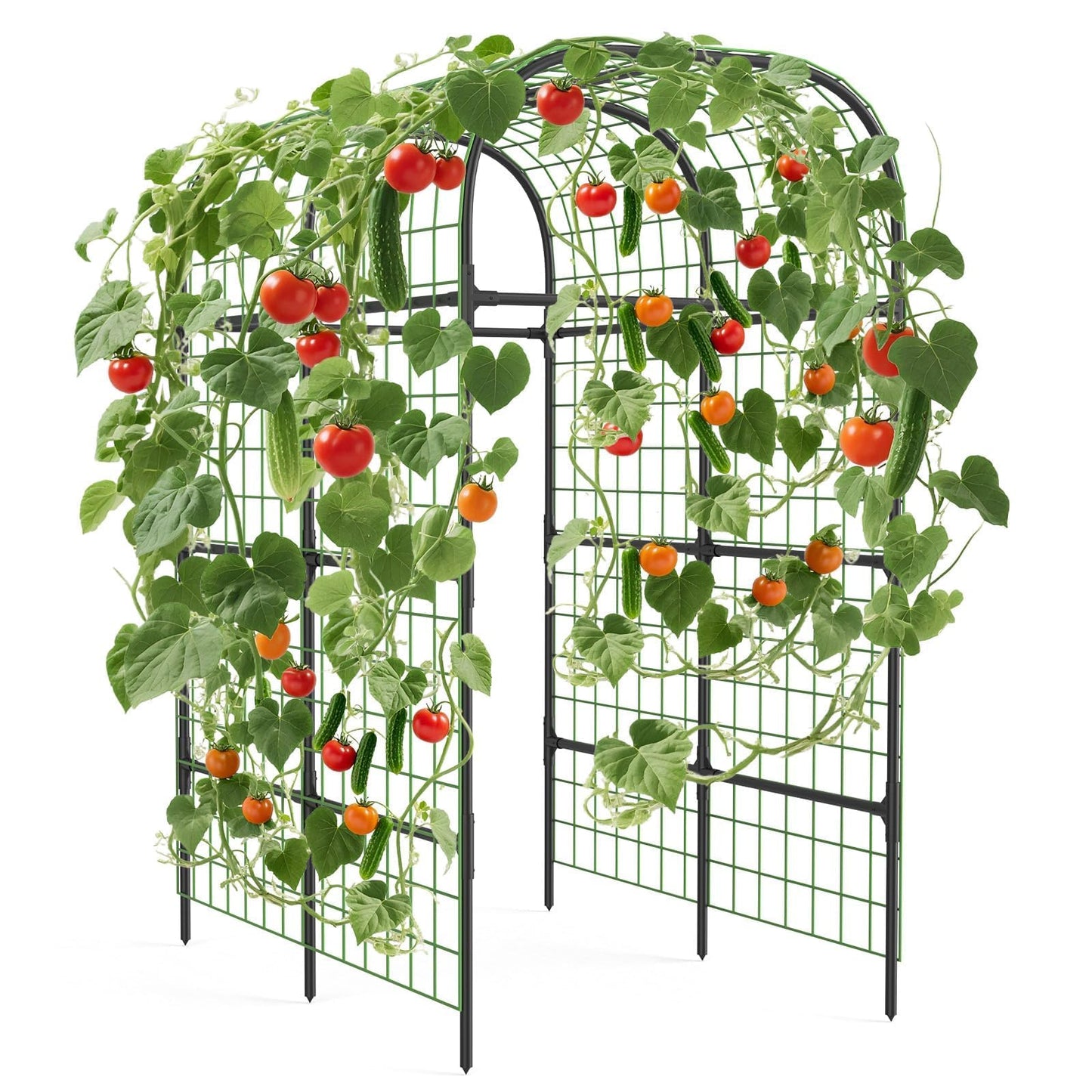 Metal Garden Arch Trellis, 7.3Ft Black for Raised Beds, Plant Support for Cucumbers & Climbing Vegetables