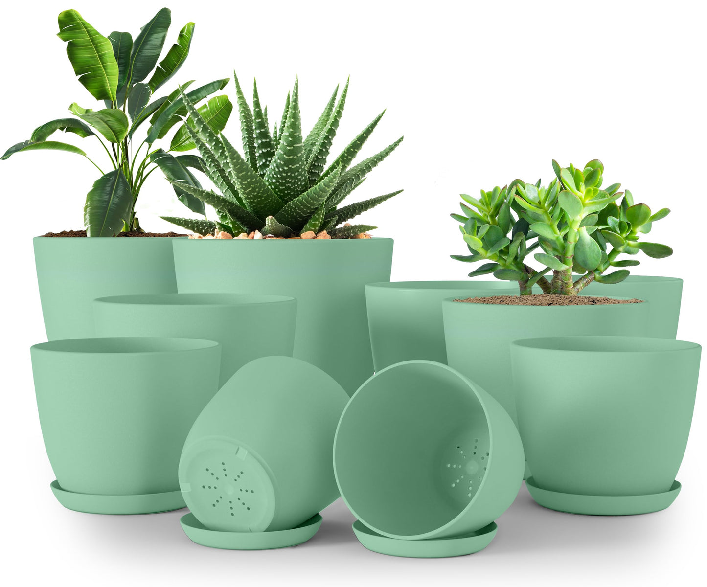 Utopia Home - Plant Pots Indoor with Drainage - 7/6.6/6/5.3/4.8 Inches Home Decor Flower Pots - Plastic Planters for Indoor Plants, Cactus, Succulents Pot (Mint, Pack of 10)