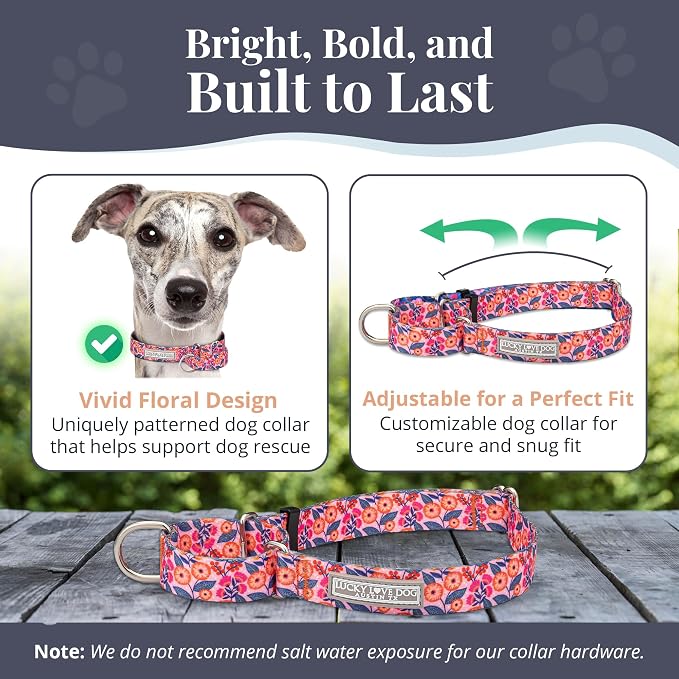 Lucky Love Dog Martingale Dog Collar - Adjustable, No-Slip, Durable, & Soft Webbing Collar for Male and Female Dogs Ideal for Training & Walking - Rosie, Medium