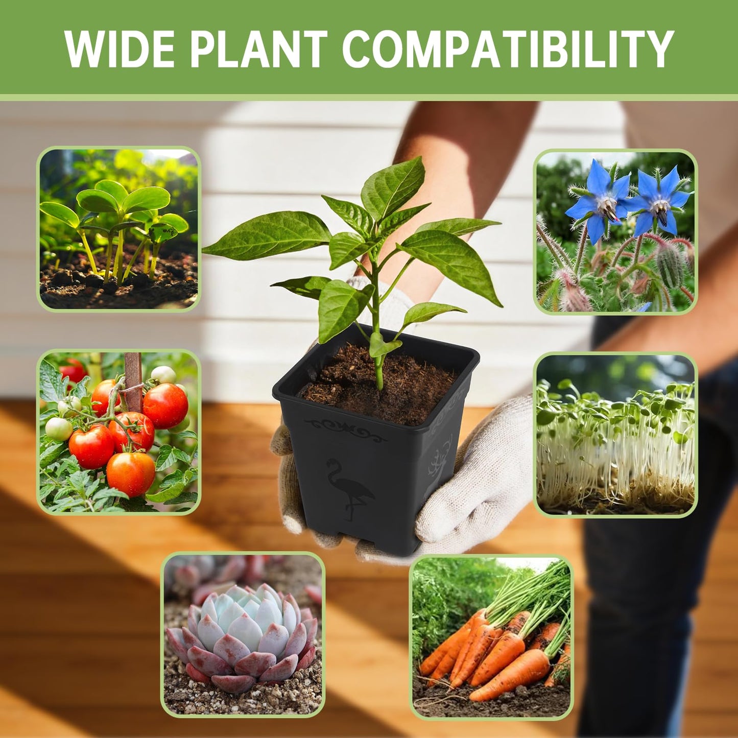 puobao 36 Pack 5.5 Inch Square Nursery Pots, Plastic Flower Pots with Drainage, Plant Pots for Plants, Reusable Planting Pots Planter for Seedlings, Transplanting & Indoor Use