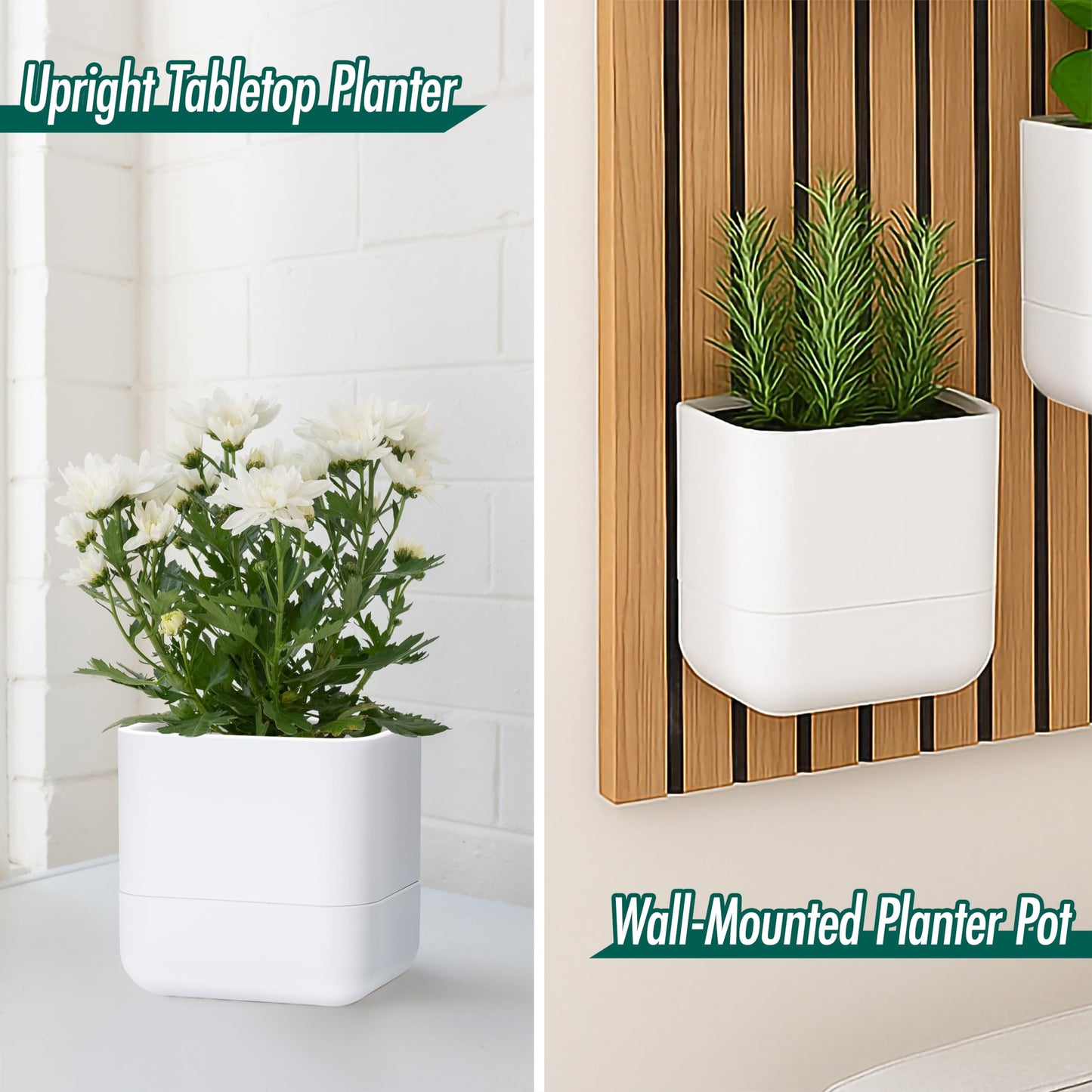 Phoenix Vine 6.5 Inch Wall Mounted Self-Watering Planter Pot for Indoor Houseplants and Herbs | Hanging Planter for Window Sills, Bathroom Walls, Home & Office Décor, White, Set of 3, 01-C-D-3