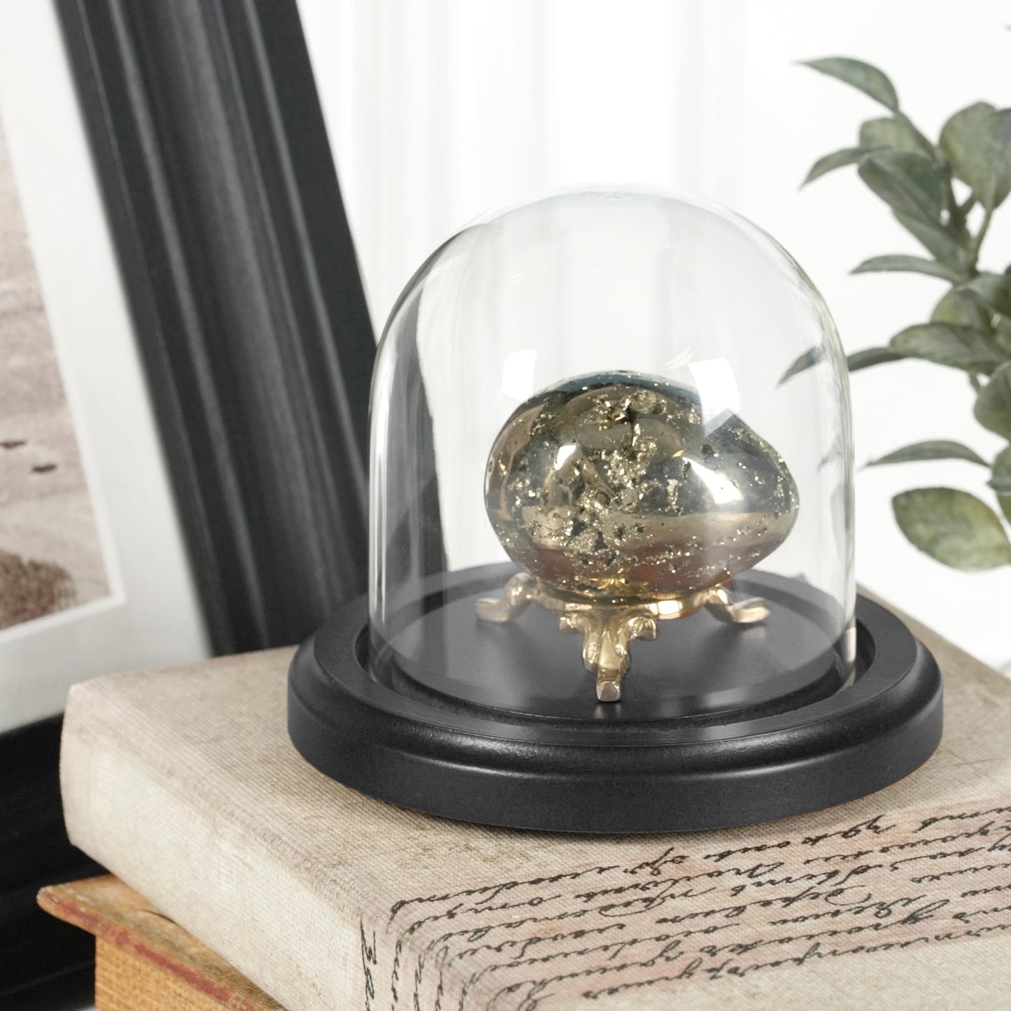Plymor 3" x 3" Glass Display Dome Cloche (Black MDF Wood Base)