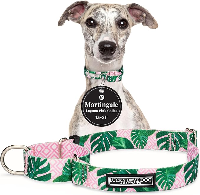 Lucky Love Dog Martingale Dog Collar - Adjustable, No-Slip, Comfortable, Durable, Soft Webbing & Stylish Patterned Collar for Male and Female Dogs Ideal for Training & Walking - Laguna, Medium