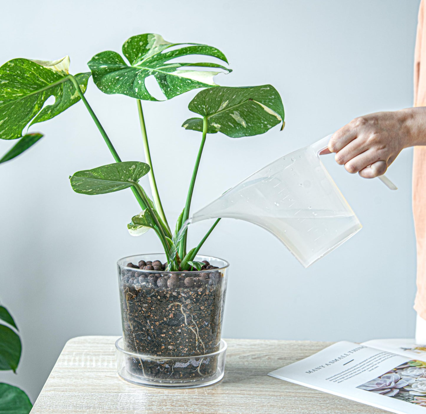 Phoenix Vine 4.5 Inch 6.5 Inch Clear Acrylic Houseplants Planter Pot with Tray, Orchid Pot with Drainage Holes, Deep Saucer for Bottom Watering, Transparent Containers for Indoor Plants, Herbs, 91-B-W