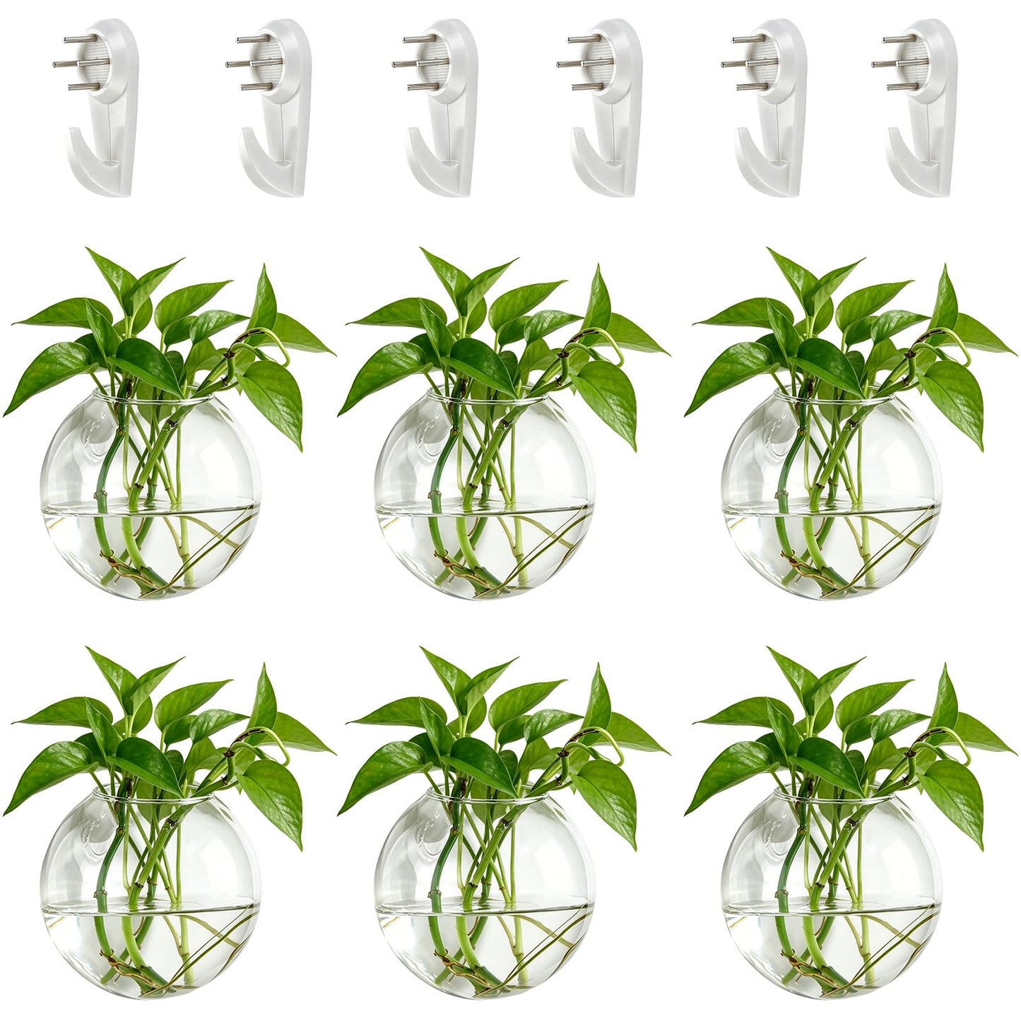 NUPTIO Wall Hanging Planter Terrarium: 4 Inch Glass Air Plant Holder 6PCS Propagation Indoor Floral Vase Flat Round Hydroponic Container Wall-Mounted Floating Pots for Bathroom Balcony Greenhouse