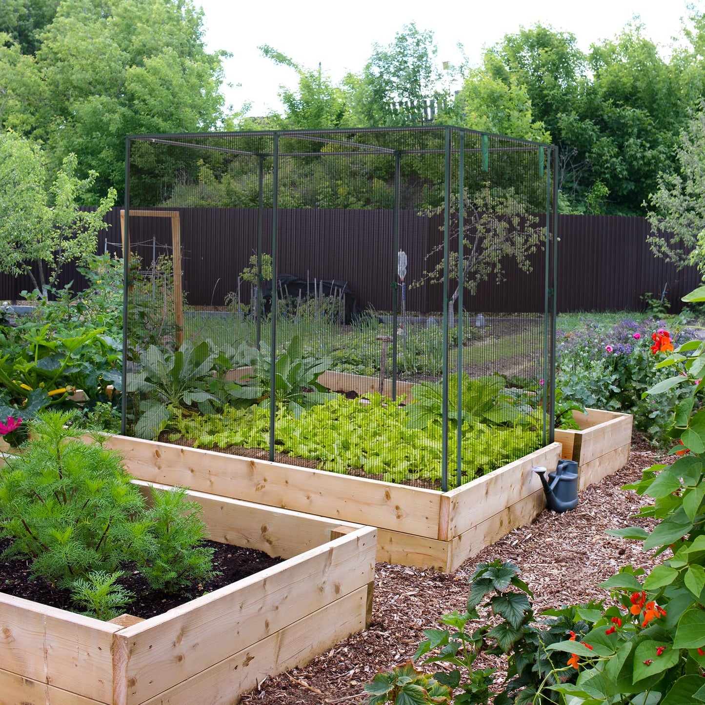 Ohuhu Crop Cages for Garden Plant:6.6x3.9x5.3 Ft Plant Protection Tent with Zippered Door, Raised Bed Cover, Garden Bed Cover with Frame, Wind-Resistant Plant Cages for Outdoor Plants