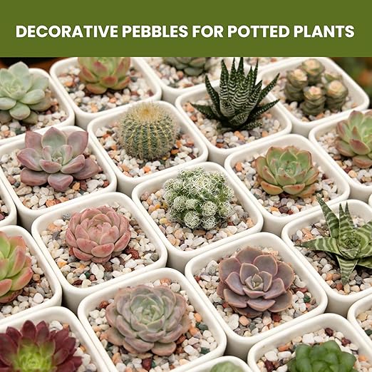 1/8 Inch Natural Aquarium Gravel, Small Pebbles for Fish Tank, Indoor Plants & Succulents, Mixed Color Mini River Rocks for Drainage, Terrarium, Top Dressing & Vase Filler, 6 lb