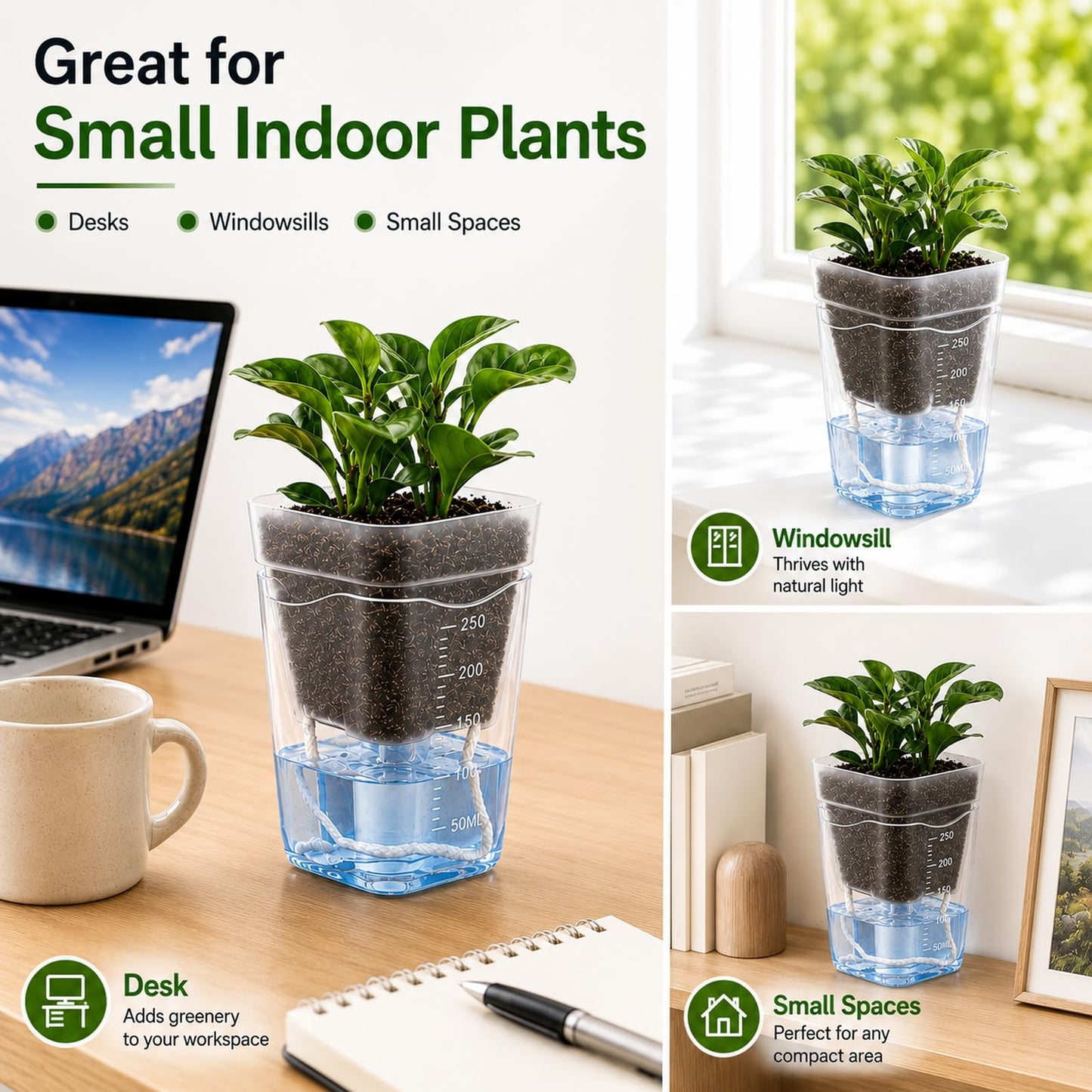 Sileasncei 6 Pack 2.5" Self Watering Seed Starter Cups, Clear Mini Planters for Indoor Plants, Help Prevent Overwatering, Promote Healthy Growth for Seedlings, Cuttings & Small Plants, with 6 Labels