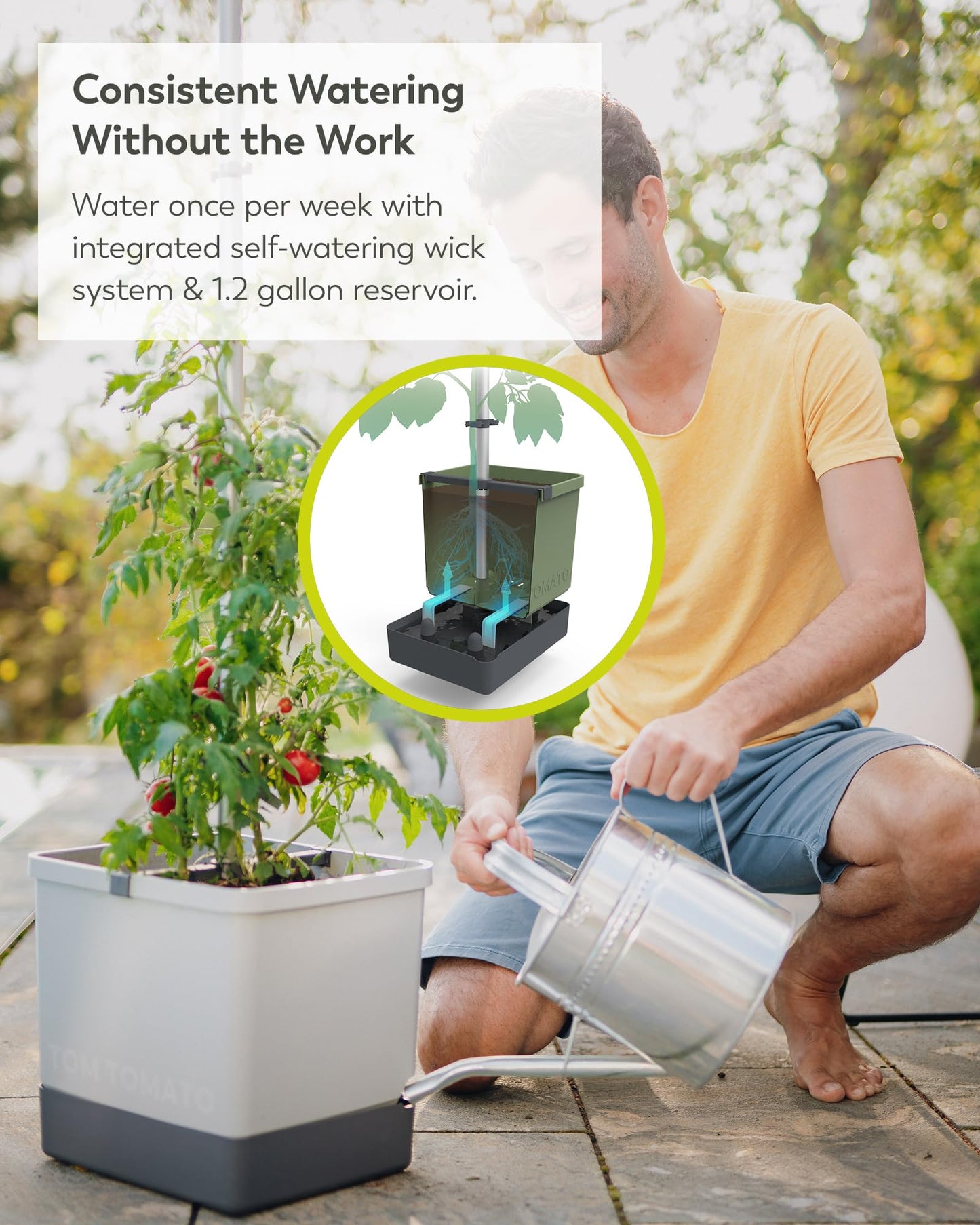 BUZZY Seeds Self-Watering Vertical Tomato Planter with Trellis – 1.2 Gal Reservoir, Large Capacity Planter for Tomatoes & Climbing Plants (Grey)