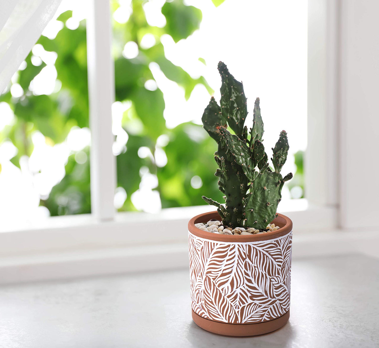 D'vine Dev Set of 2 Terracotta Pots, Leaf Pattern Planter Pot, 4 Inch and 6 Inch, Pot with Drainage Hole and Saucer, Terracotta/White, 31-958-T-1