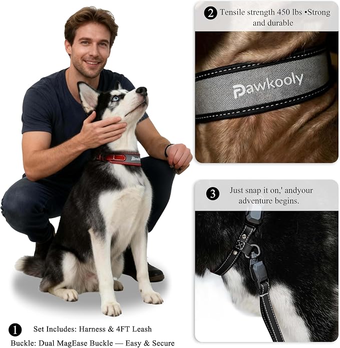 MagEase Dog Collar with 4FT Leash | Adjustable | Anti-Wrinkle, Bite & Stain-Resistant Leather | Soft & Skin-Friendly | 450LB Escape-Proof Magnetic Buckle (Black, Small)