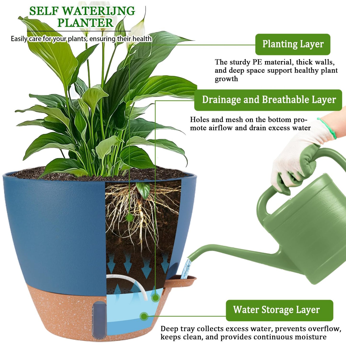 2 Pack 10 inch Plant Pots and 6 Inch Self Watering Pots for Indoor Plants (5-Pack), Plastic Planters with Water Window, Drainage Holes & Trays, Indoor Outdoor Flower Pots