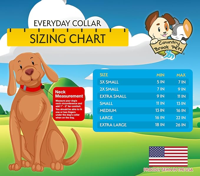 Country Brook Petz - Everyday Nylon Dog Collar and Leash - 10+ Cool Colors (3/8 Inch, Extra Small, Black)