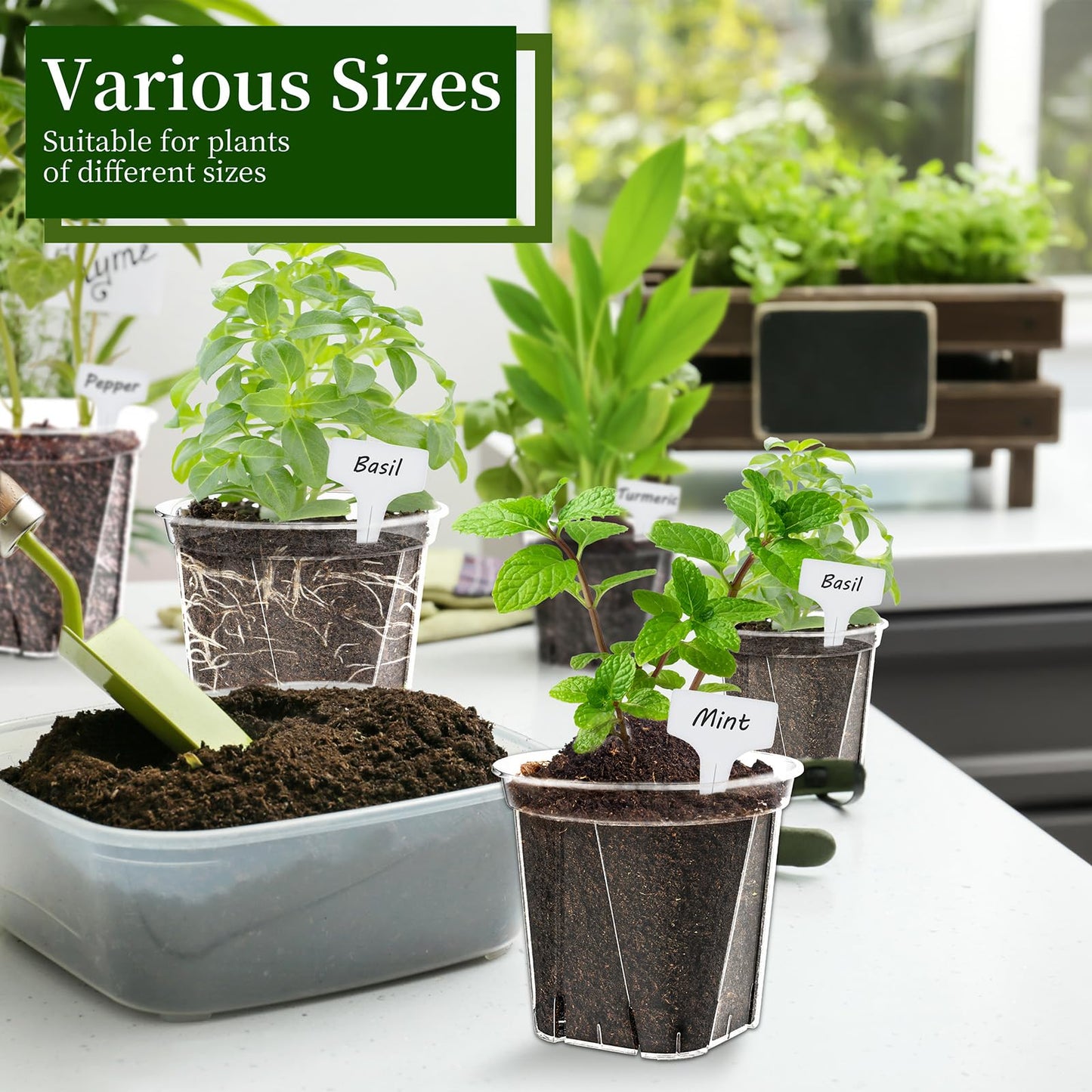 Groodo 18 Pack Clear Nursery Pots for Plants, 5.5/5.9/6.3 Inch Reinforced Plastic Plant Pots with Drainage Holes High Transparency Plant Pot Seed Starter Pot High Transparency with 10 Plant Labels