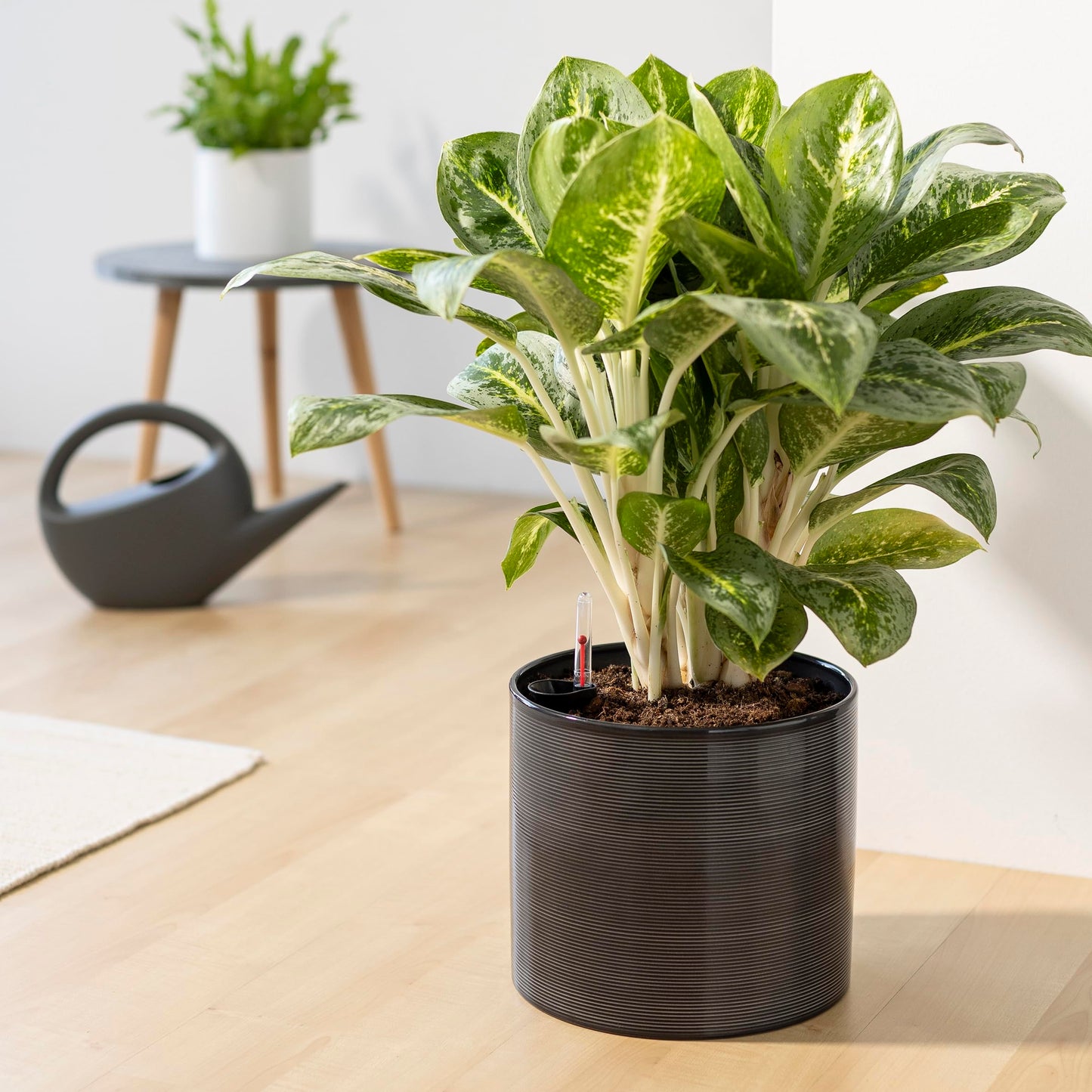 Scheurich Wateringsystem 23, Ceramic Flower Pot with Watering System, Colour: Glas Grey, 23 cm Diameter, 21 cm Height, 7,4 l Vol.