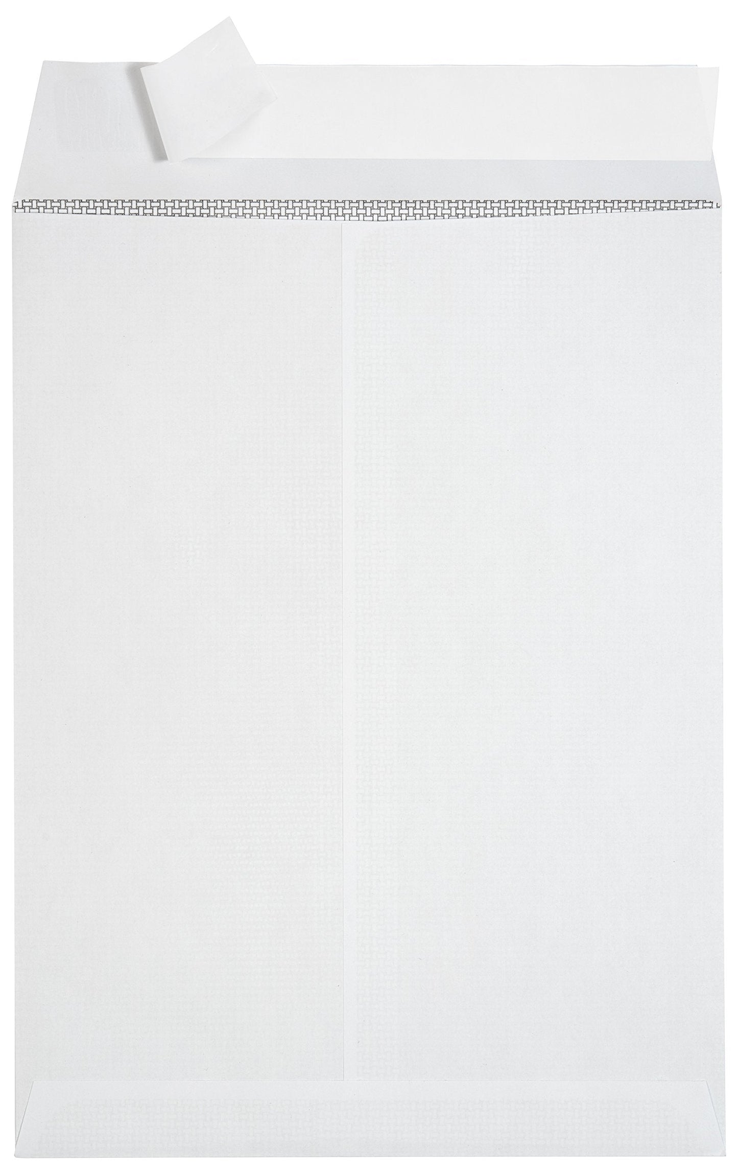 100 9 X 12 Self Seal Security Catalog Envelopes - Designed for Secure Mailing - Securely Holds up to 60 Sheets of Paper with Strong Peel and Seal Flap (100 Envelopes)
