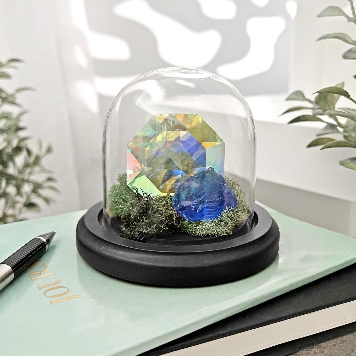 Plymor 3" x 3" Glass Display Dome Cloche (Black MDF Wood Base)