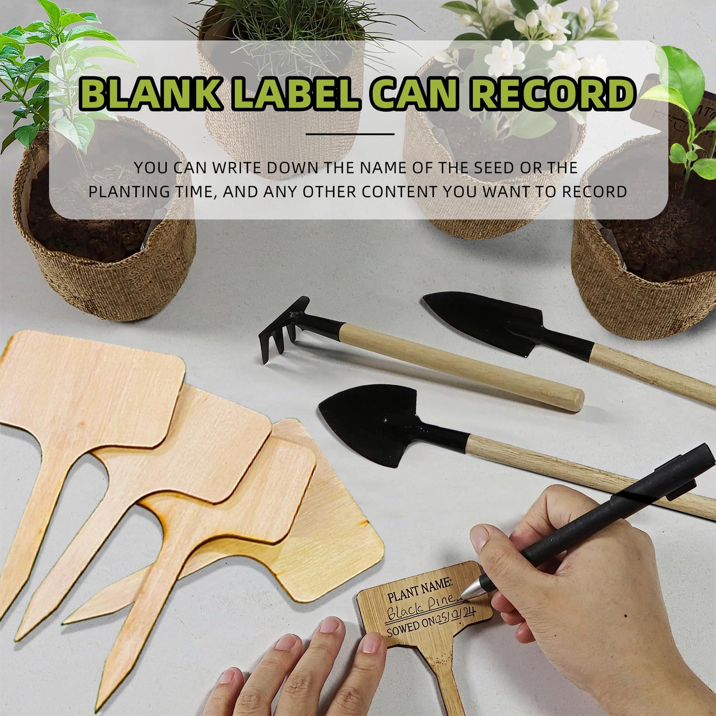 Bonsai Tree Growing Kit - All-in-One plant repotting mat Gardening Tools & User Manual, Unique Gift for Plant Lovers (Seeds Not Included)Gardening Gifts for Women Men Mom Father Birthday Thanksgiving
