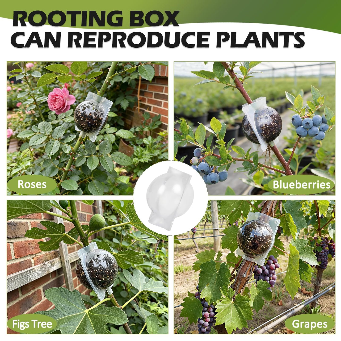 NVAAV Tree Root Growing Box, Air Layering Pods Propagation Kit, Reusable Half Transparent Plants Asexual Reproduction Grafting Ball for Fast Propagation Plants (12 pcs Small)