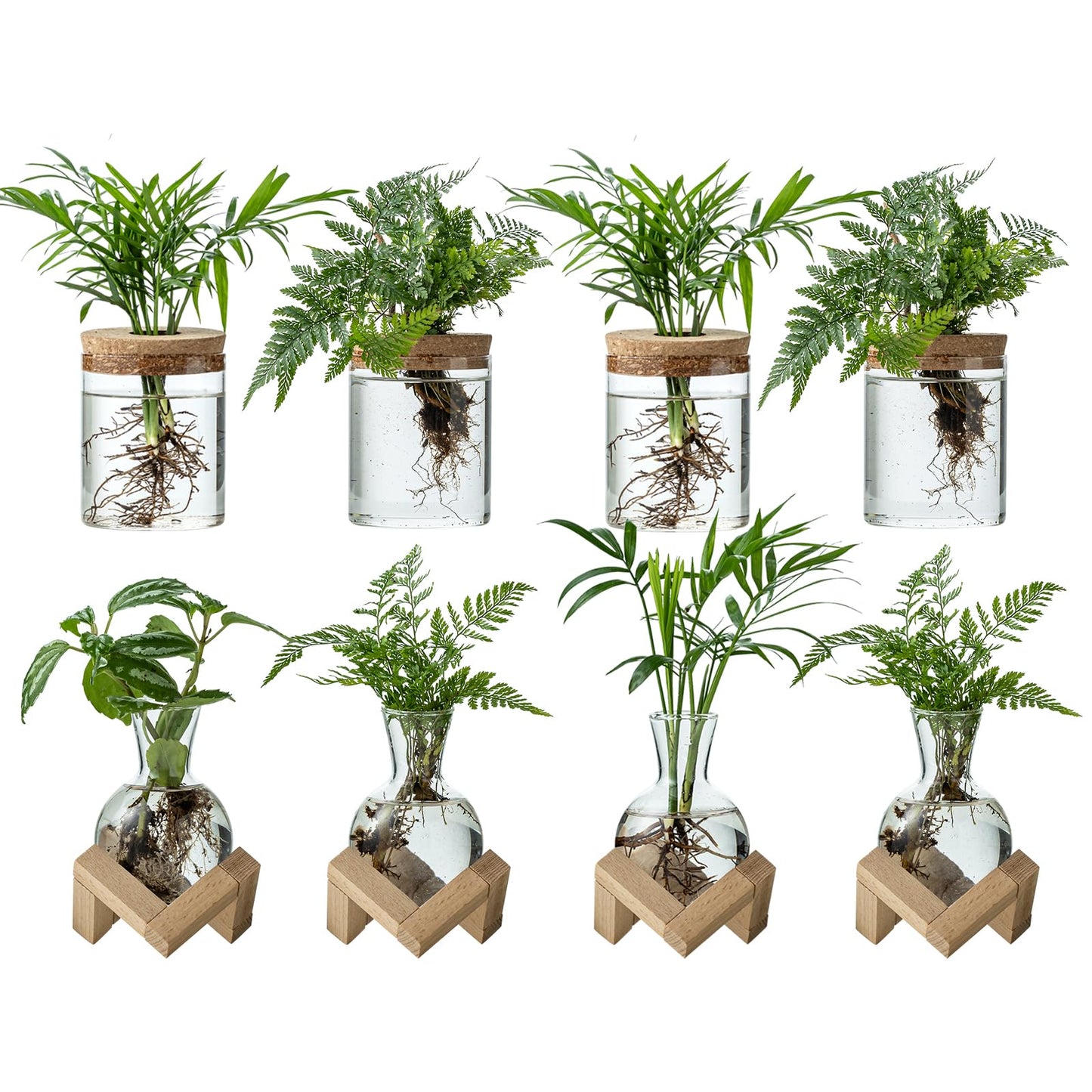 JGKYLDZ Plant Propagation Station, 2 Style Glass Planter Terrarium Set for Hydroponic Plants | Home Office Tabletop Decor, Gardening Gifts for Women, Mom, Plant Lovers (8)
